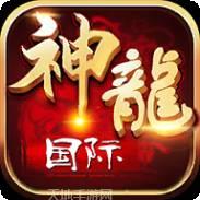 神龙国际