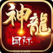 神龙国际