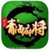 正宗青海麻将
