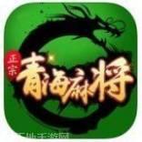 正宗青海麻将