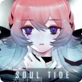 灵魂潮汐九游版