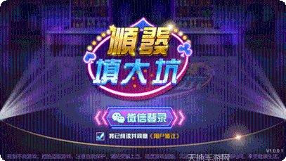 顺发填大坑游戏攻略