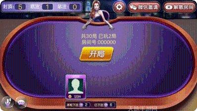 顺发填大坑下载地址