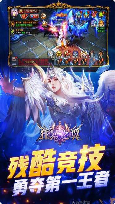 狂暴之翼游戏攻略