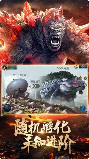 山海异兽联盟装备获取