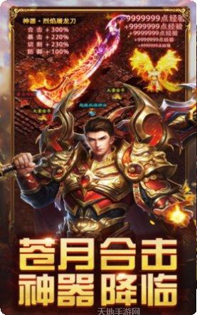 苍月合击神器礼包