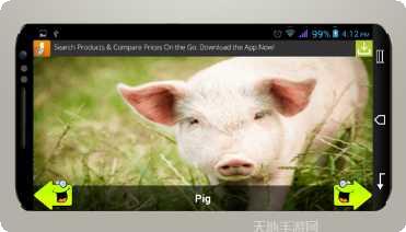 动物运动会角色大全