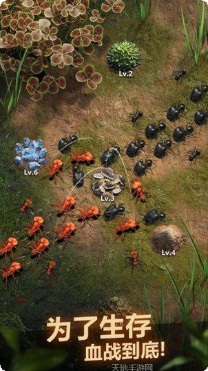 植物狂热最新版本