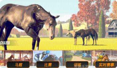 Rival Arena VS角色介绍