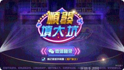 顺发填大坑游戏攻略