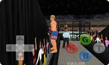 摔跤战斗革命游戏下载