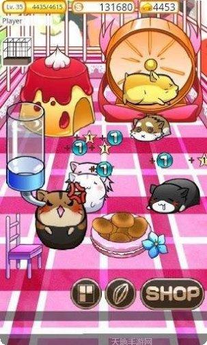 模拟宠物世界攻略