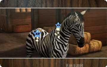 我的马模拟器安卓版