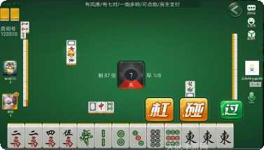 丰雅牌牌乐游戏攻略