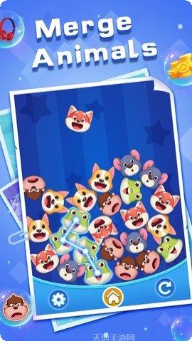 可爱的炸弹关卡挑战