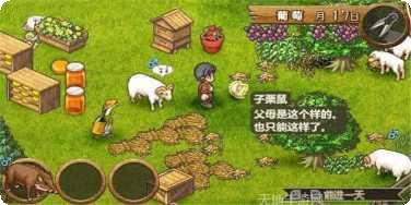 欢迎来到时间加速的岛屿下载地址