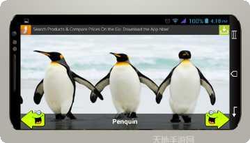 动物运动会最新版本