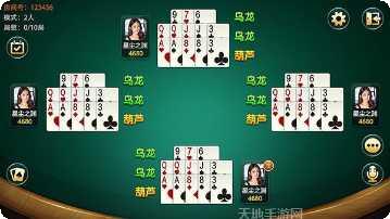 小猪棋牌在线玩