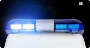 Police Sim 2022玩法介绍