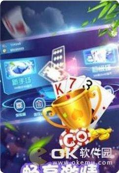 二百四棋牌游戏