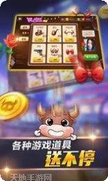 全民斗牛牛棋牌规则