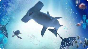 土豪牛牛下载地址