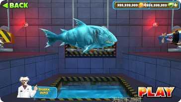 饥饿鲨鱼求生技巧