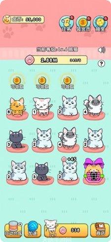 我的小猫咪隐藏任务