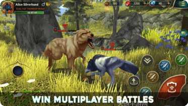 狼传说家园与爱心游戏攻略