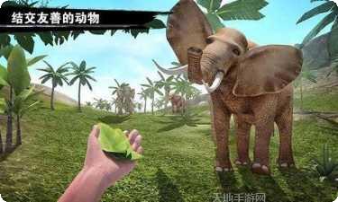 求生岛挑战最新版本