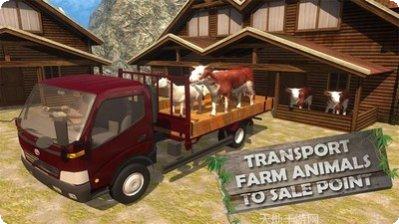 真实动物园攻略