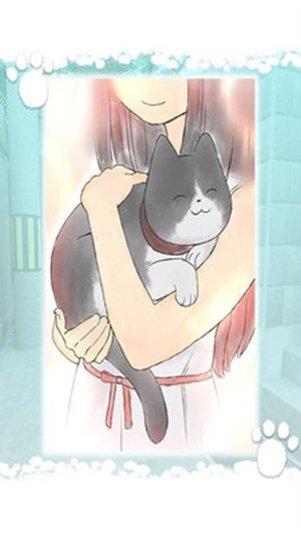 迷路的猫与狗攻略