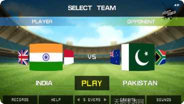 街头板球冠军游戏下载