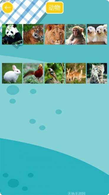 天天开餐厅装饰技巧