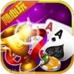 八闽状元郎麻将