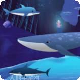 梦幻海岛红包版