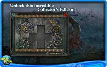 命运的秩序装备搭配