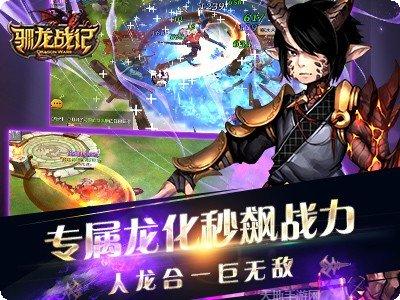 驯龙战记宠物获取方法