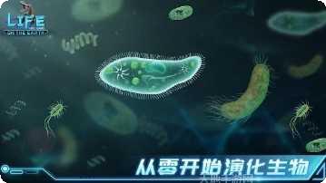 地球上最后一只鸡怎么玩