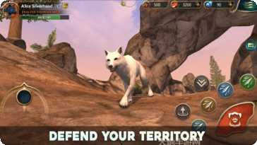 狒狒在狼传说家园与爱心