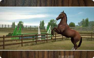 我的马模拟器玩法介绍
