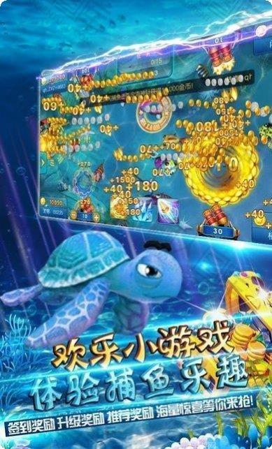 鲨鱼新世纪玩法介绍