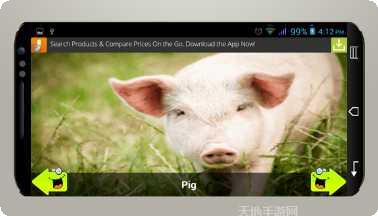 动物运动会攻略大全