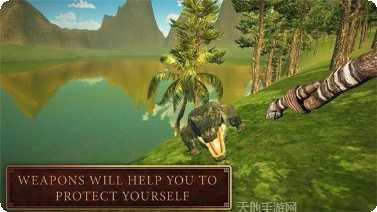 野外生存大师游戏技巧
