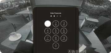 秘密特工伊斯坦布尔任务解锁