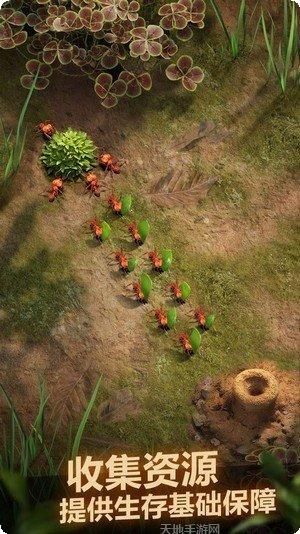 Plant Mania怎么玩