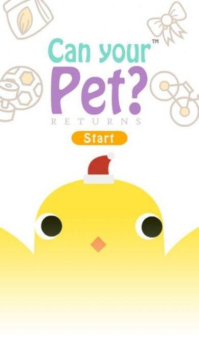 养只小黄鸡攻略