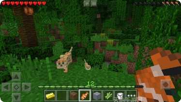 我的世界感恩节活动