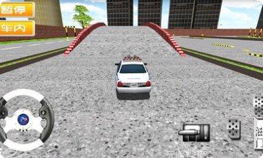 驾考模拟体验安卓版