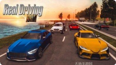 真实驾驶考验模拟器